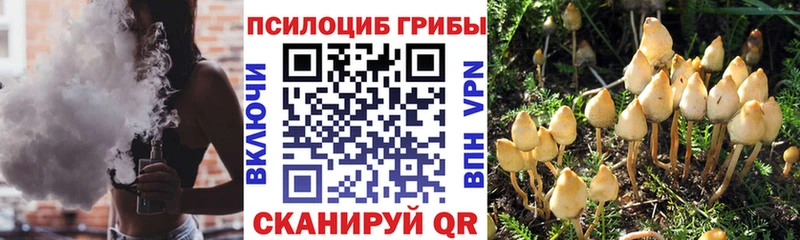 Псилоцибиновые грибы ЛСД  shop наркотические препараты  Тарко-Сале  хочу наркоту 
